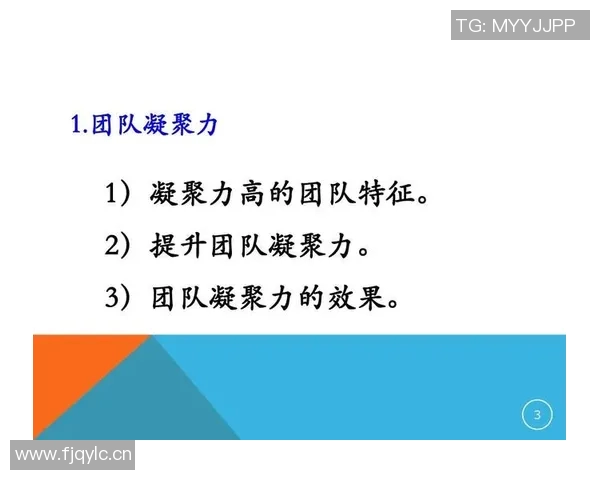 武汉足球队意识探讨:提升团队凝聚力与战术执行力的关键因素分析 武汉足球队意识探讨:提升团队凝聚力与战术执行力的关键因素分析